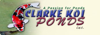 Clarke Koi Logo