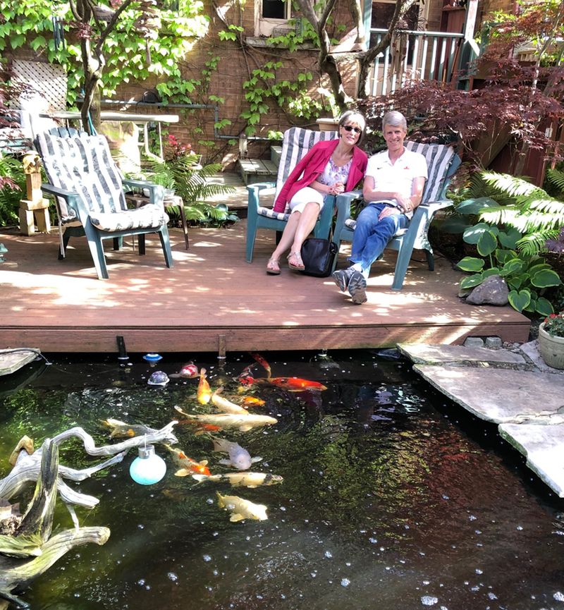 Pond - P&amp;K June 2019